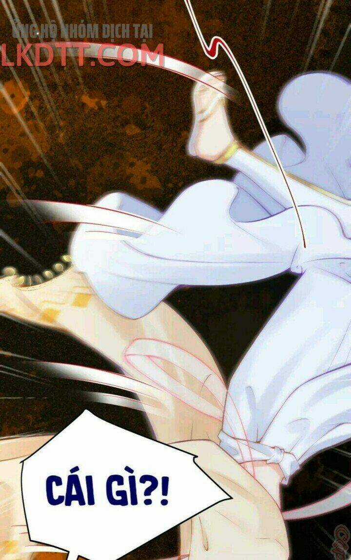 Xuyên Đến Ai Cập : Trở Thành Cô Dâu Của Vương Chapter 30 trang 13