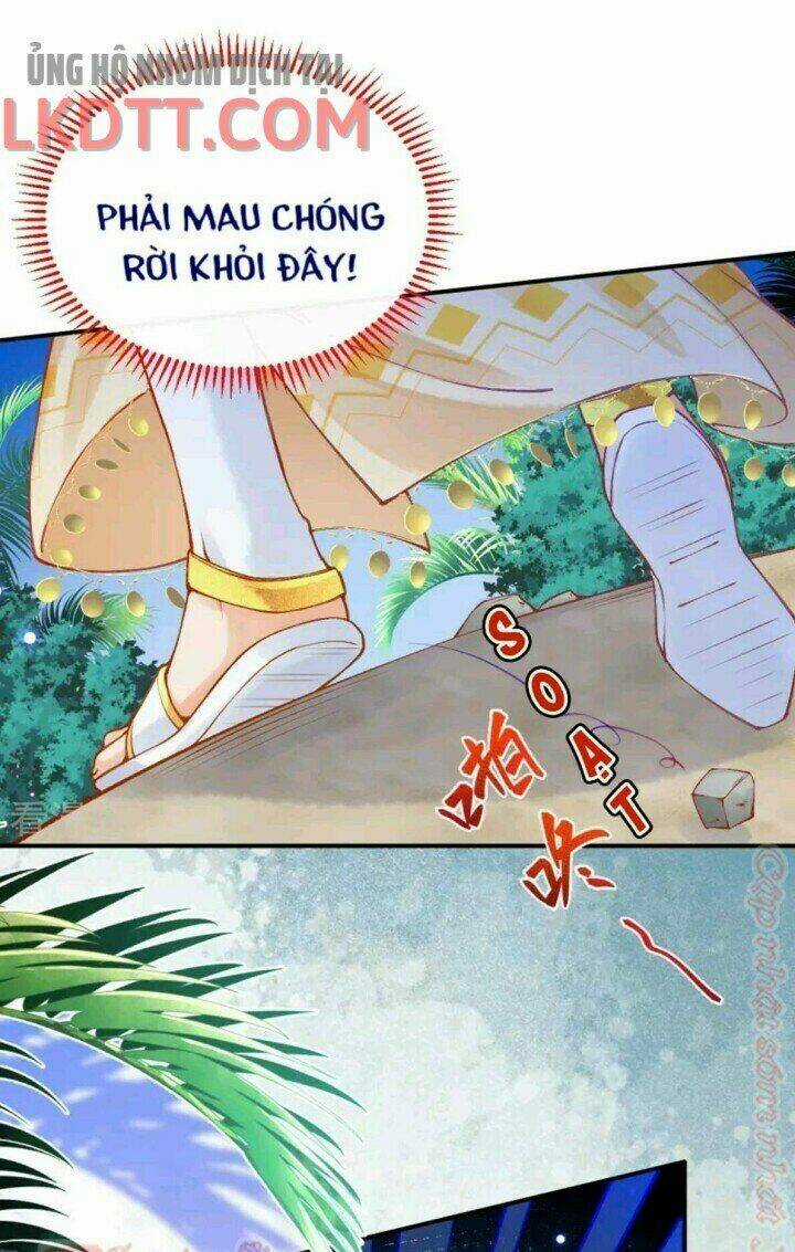 Xuyên Đến Ai Cập : Trở Thành Cô Dâu Của Vương Chapter 31 trang 5