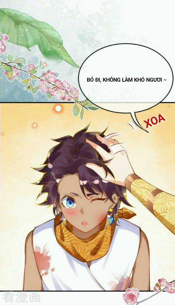 Xuyên Đến Ai Cập : Trở Thành Cô Dâu Của Vương Chapter 39 trang 17