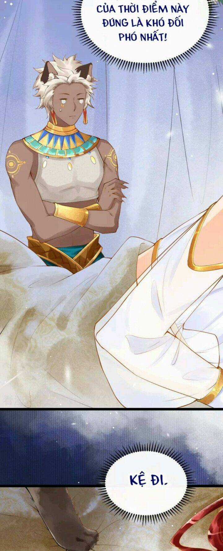 Xuyên Đến Ai Cập : Trở Thành Cô Dâu Của Vương Chapter 4 trang 17