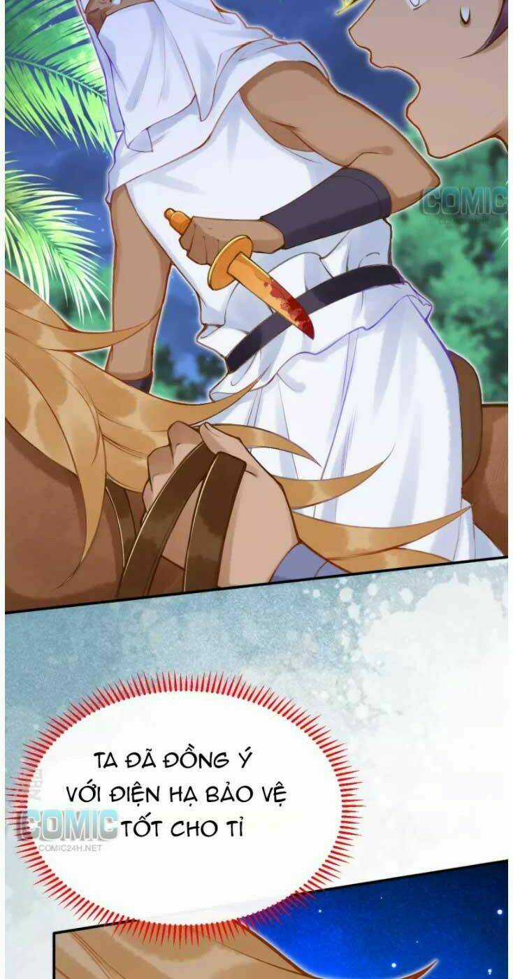 Xuyên Đến Ai Cập : Trở Thành Cô Dâu Của Vương Chapter 46 trang 29