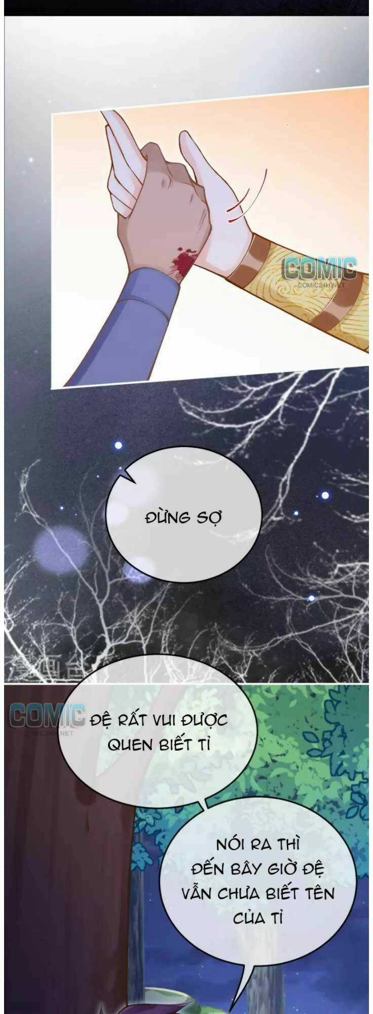 Xuyên Đến Ai Cập : Trở Thành Cô Dâu Của Vương Chapter 47 trang 33