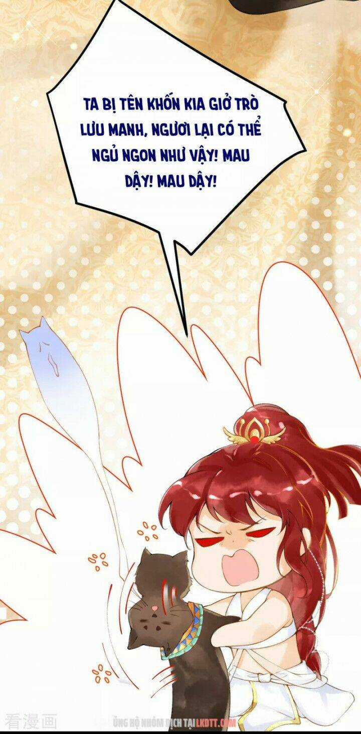 Xuyên Đến Ai Cập : Trở Thành Cô Dâu Của Vương Chapter 5 trang 11