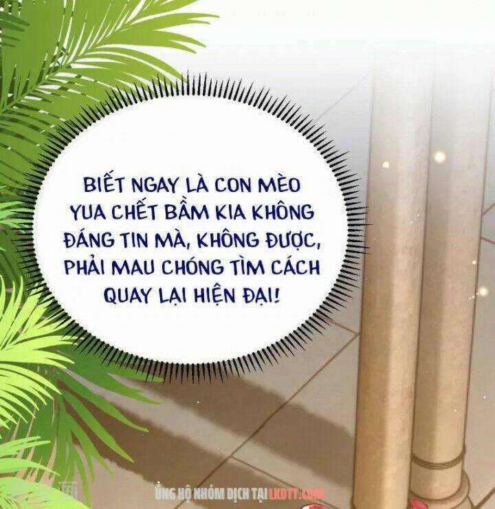 Xuyên Đến Ai Cập : Trở Thành Cô Dâu Của Vương Chapter 5 trang 16