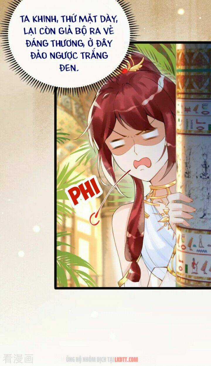 Xuyên Đến Ai Cập : Trở Thành Cô Dâu Của Vương Chapter 5 trang 27