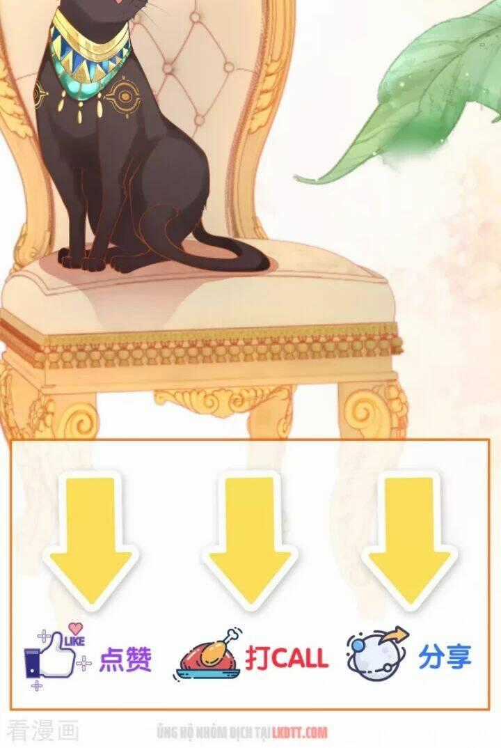 Xuyên Đến Ai Cập : Trở Thành Cô Dâu Của Vương Chapter 5 trang 41