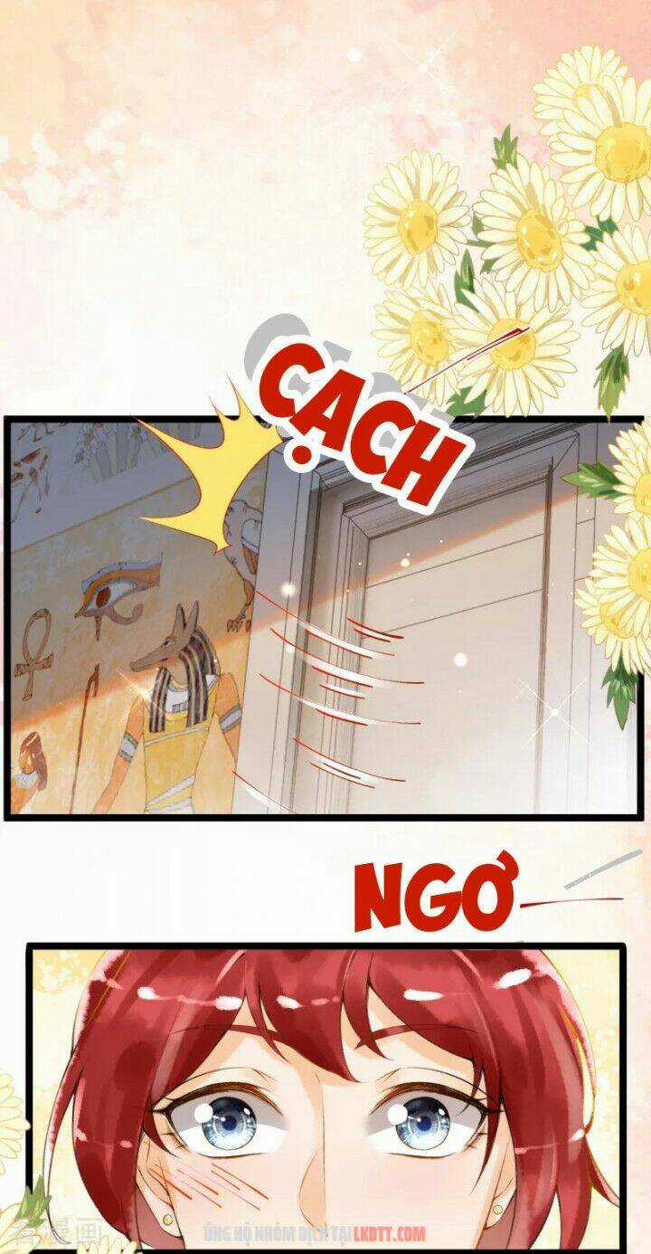 Xuyên Đến Ai Cập : Trở Thành Cô Dâu Của Vương Chapter 5 trang 7