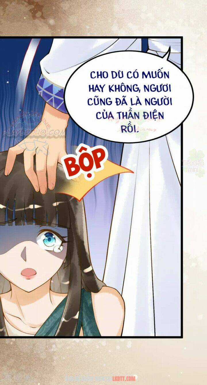 Xuyên Đến Ai Cập : Trở Thành Cô Dâu Của Vương Chapter 6 trang 15