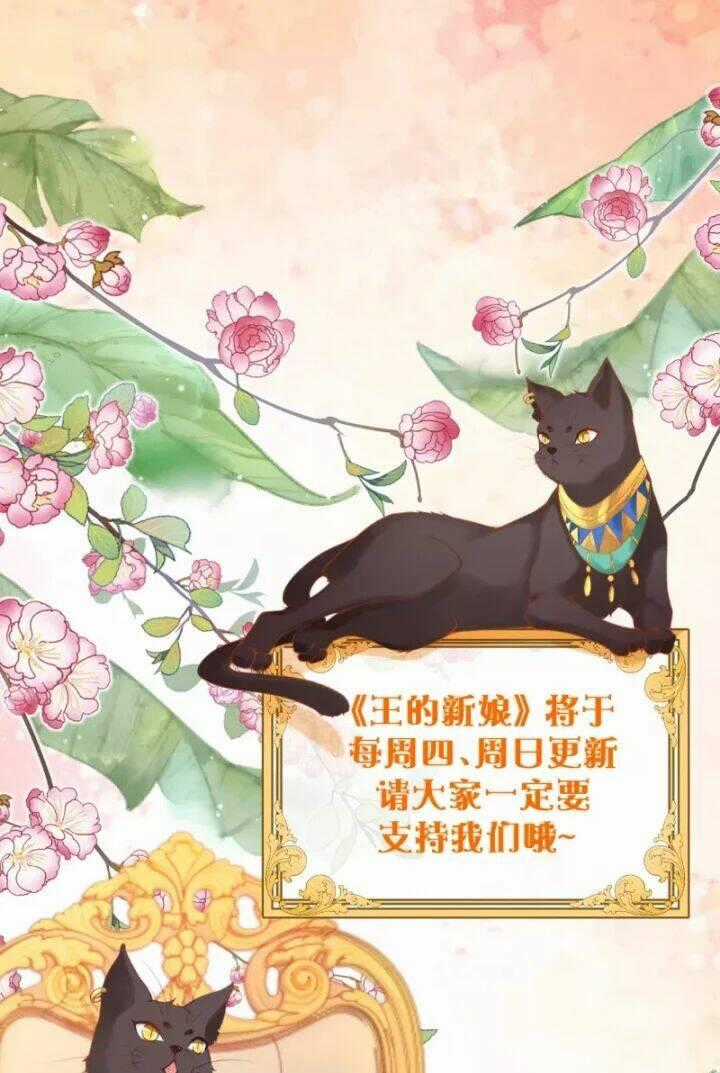 Xuyên Đến Ai Cập : Trở Thành Cô Dâu Của Vương Chapter 6 trang 32