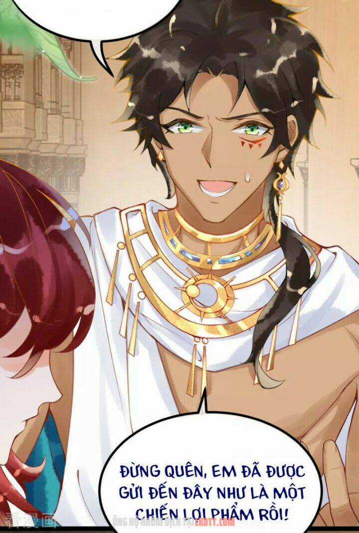 Xuyên Đến Ai Cập : Trở Thành Cô Dâu Của Vương Chapter 7 trang 19