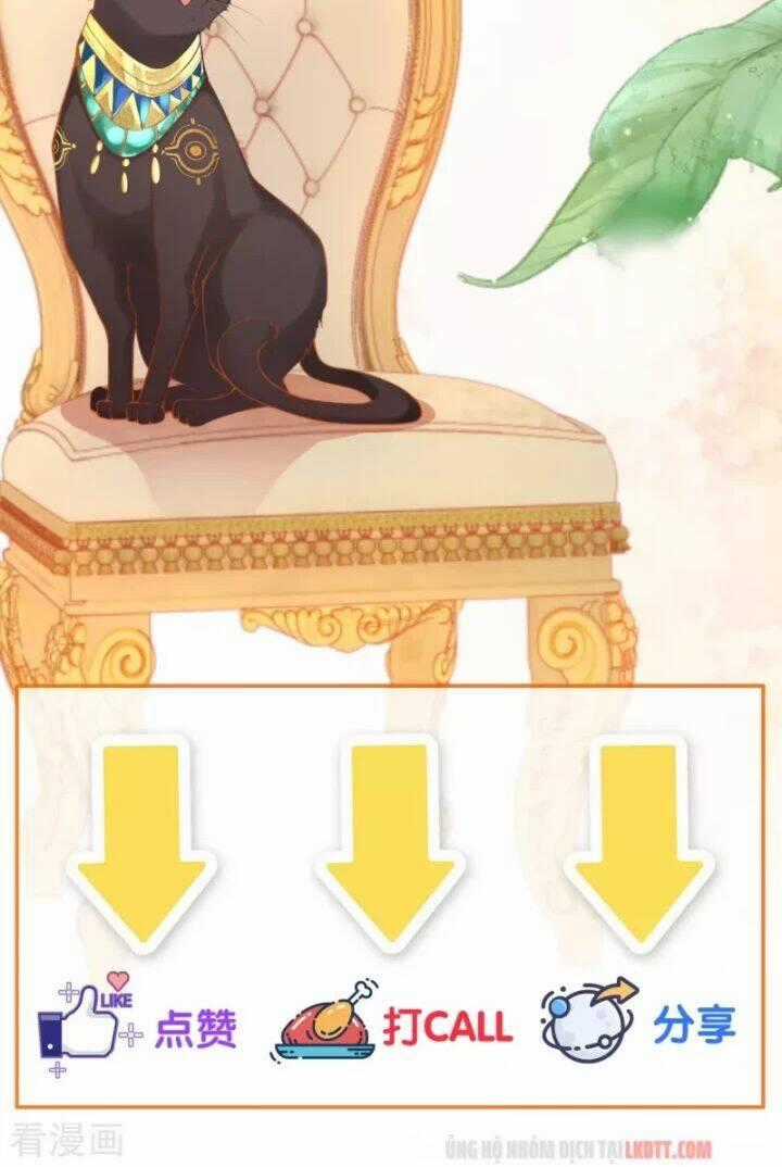 Xuyên Đến Ai Cập : Trở Thành Cô Dâu Của Vương Chapter 9 trang 32