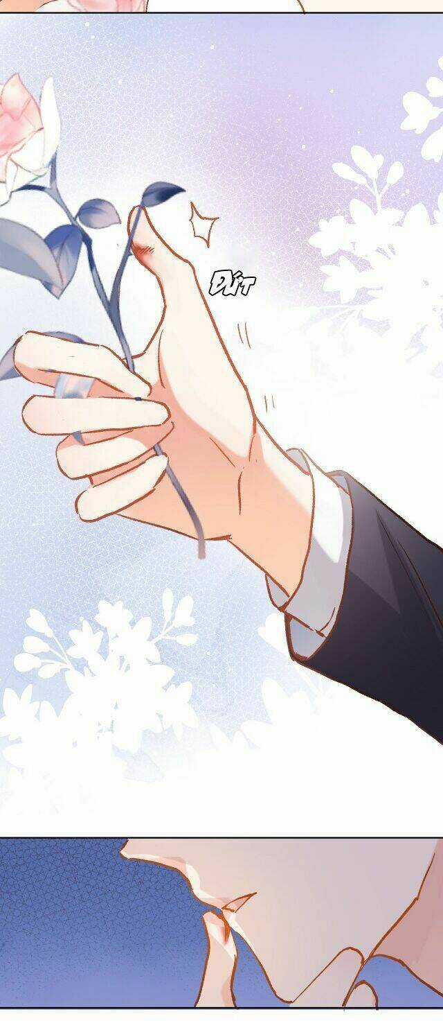 Xuyên Hành Thế Giới Chi Hoa Chapter 18 trang 18