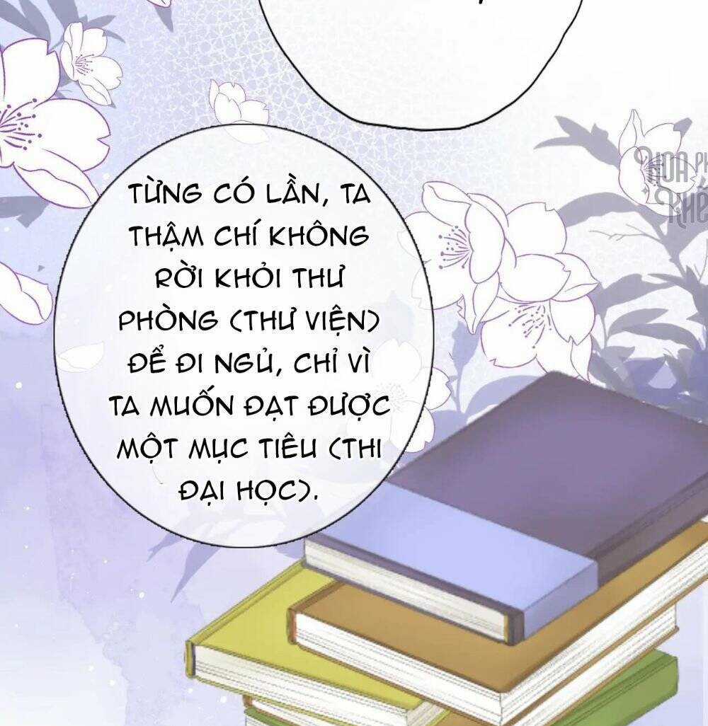Xuyên Hành Thế Giới Chi Hoa Chapter 24 trang 23
