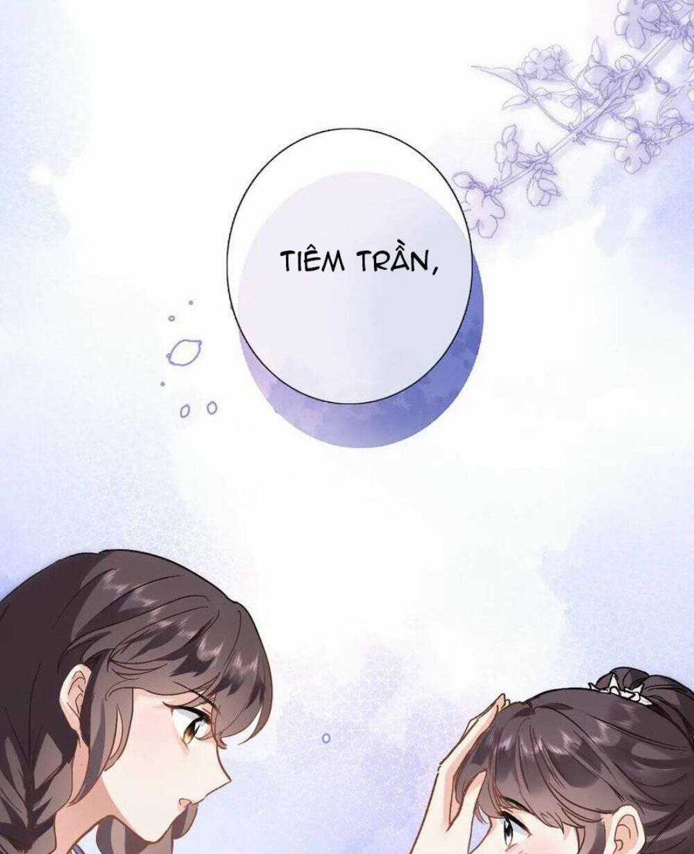 Xuyên Hành Thế Giới Chi Hoa Chapter 35 trang 31