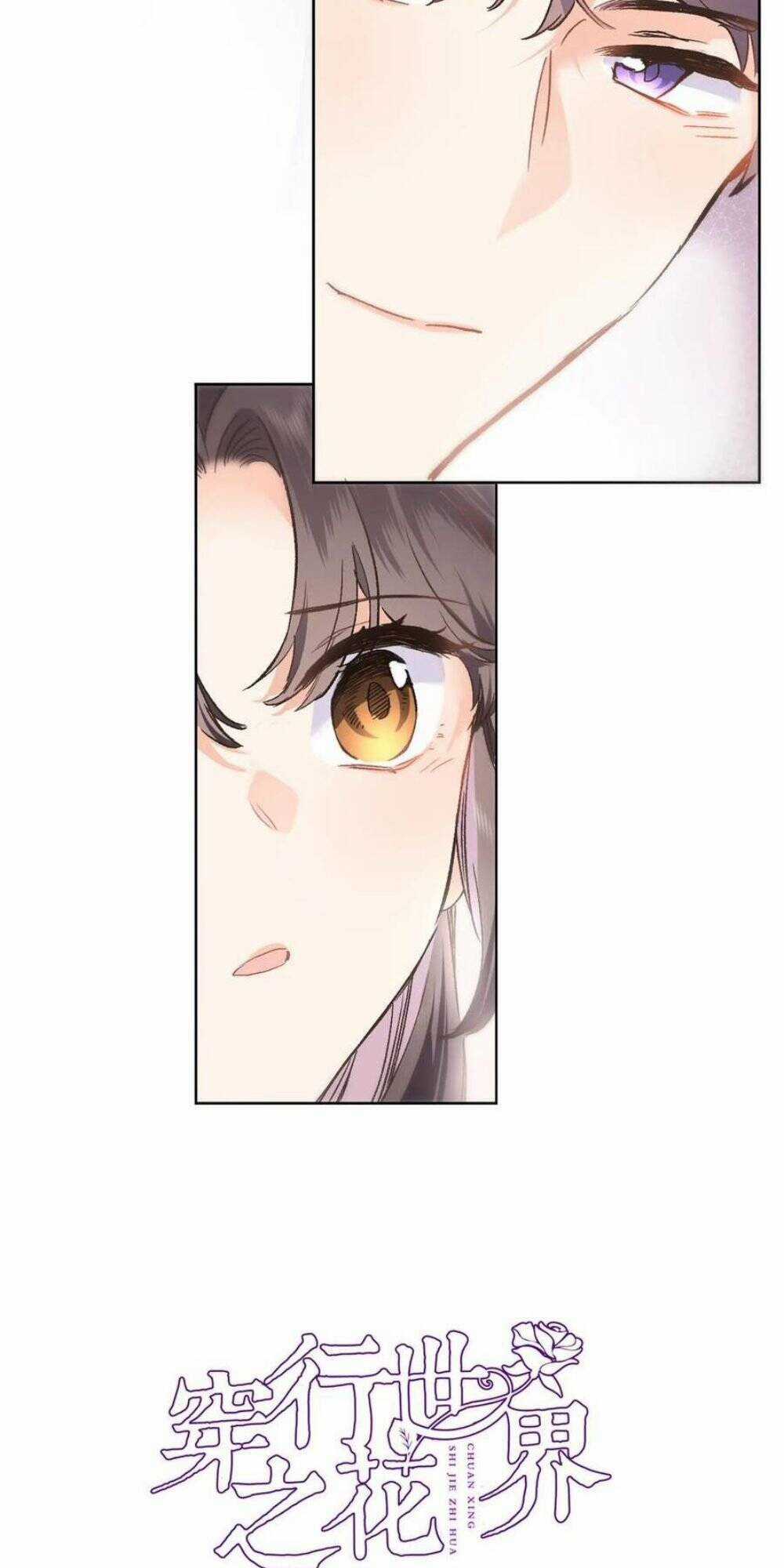 Xuyên Hành Thế Giới Chi Hoa Chapter 40 trang 3