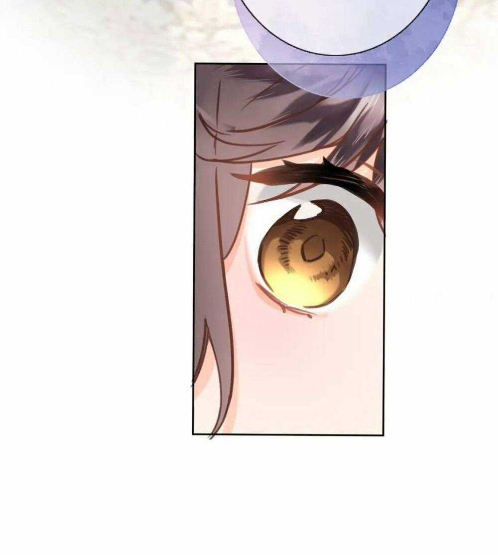 Xuyên Hành Thế Giới Chi Hoa Chapter 67 trang 31