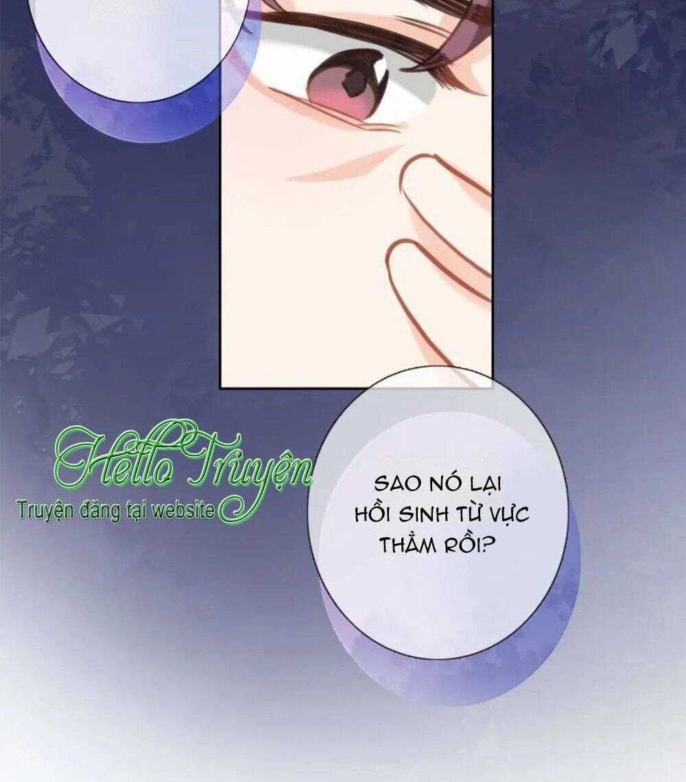 Xuyên Hành Thế Giới Chi Hoa Chapter 71 trang 3