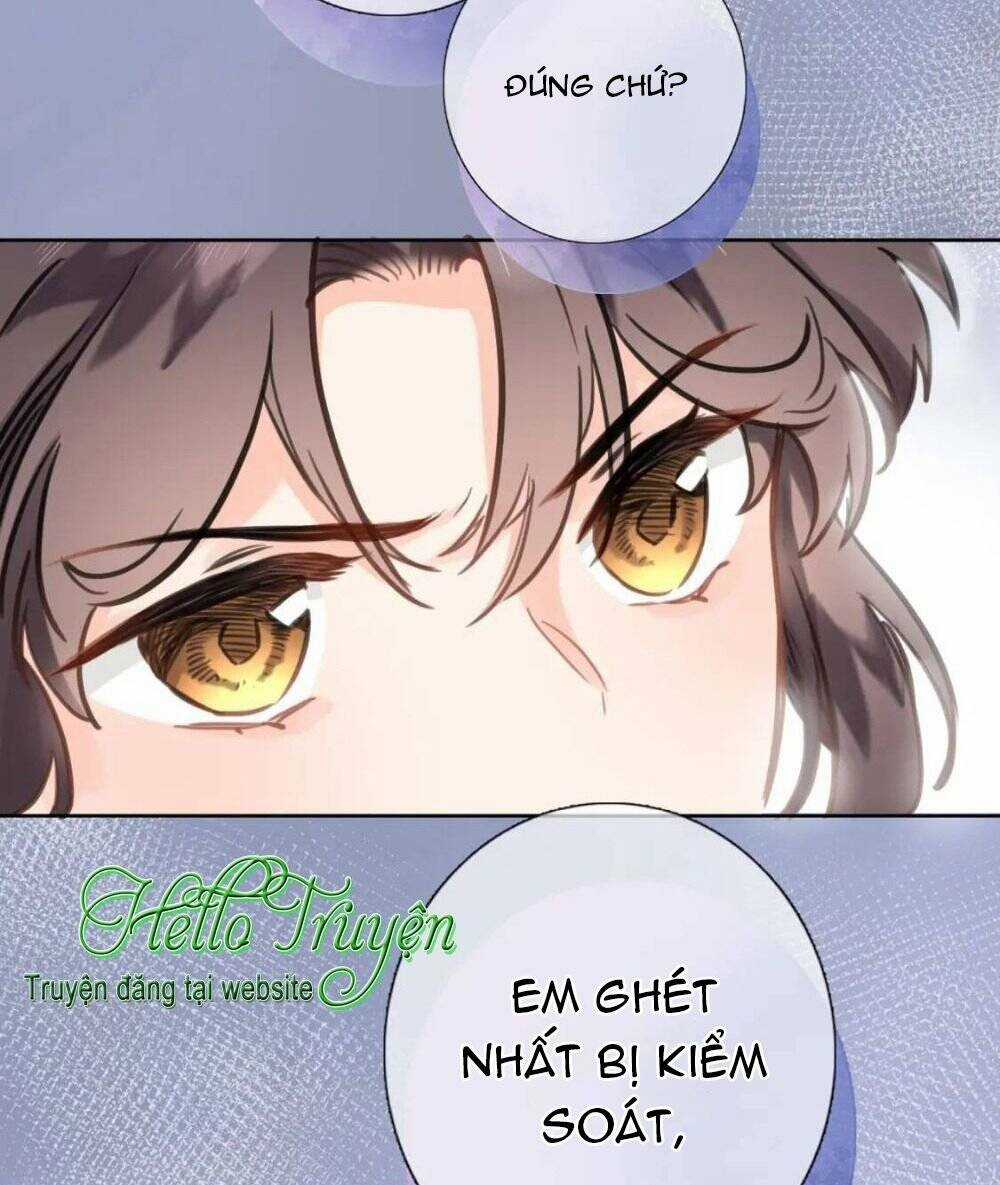 Xuyên Hành Thế Giới Chi Hoa Chapter 72 trang 31