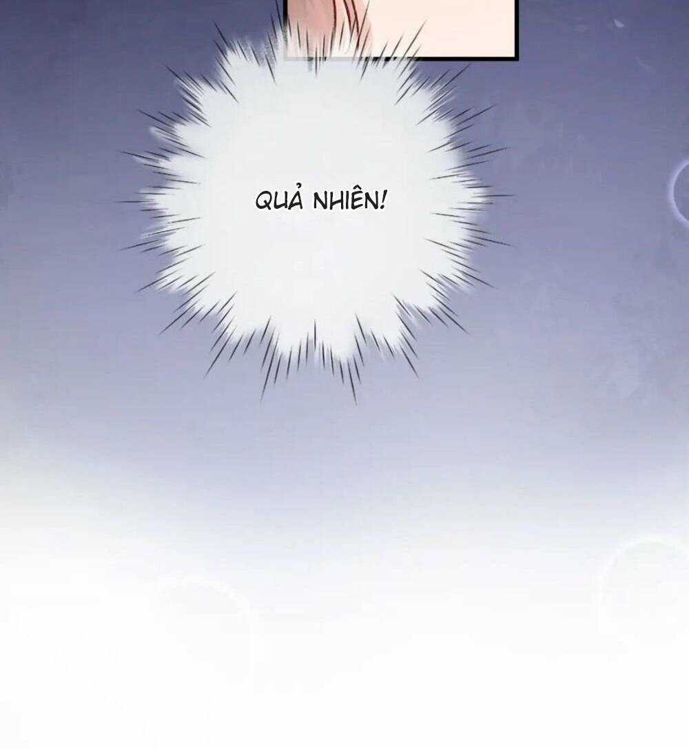 Xuyên Hành Thế Giới Chi Hoa Chapter 98 trang 39