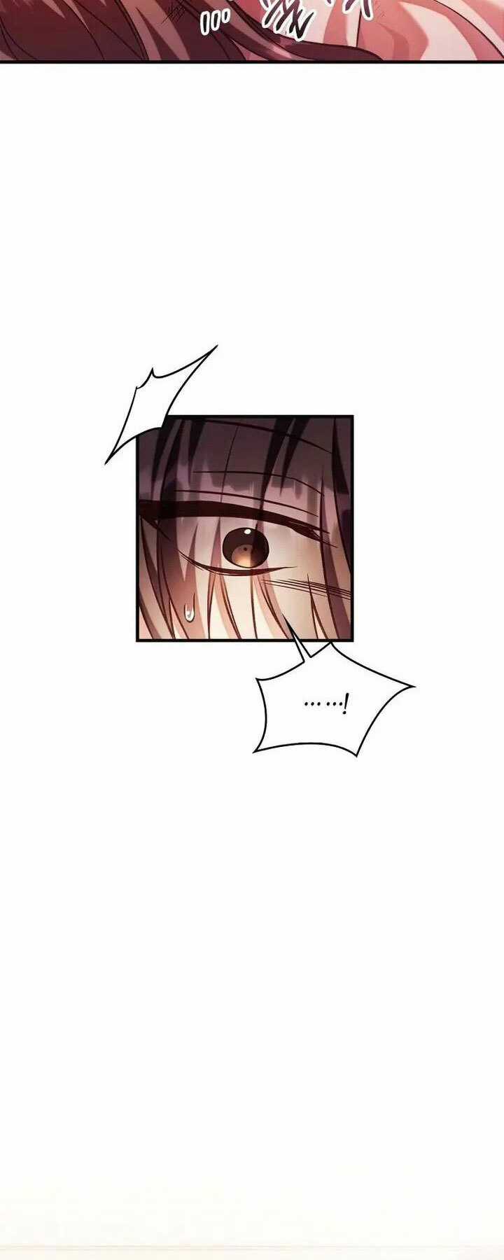 Xuyên Không, Rác Rưởi Hóa Chiến Lược Gia Chapter 62 trang 23