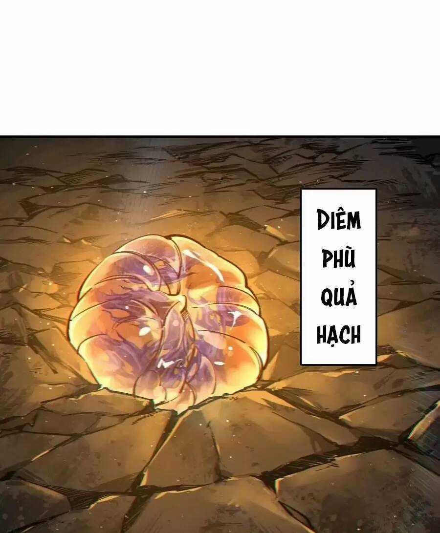 Xuyên Không Thành Chim Chapter 141 trang 25