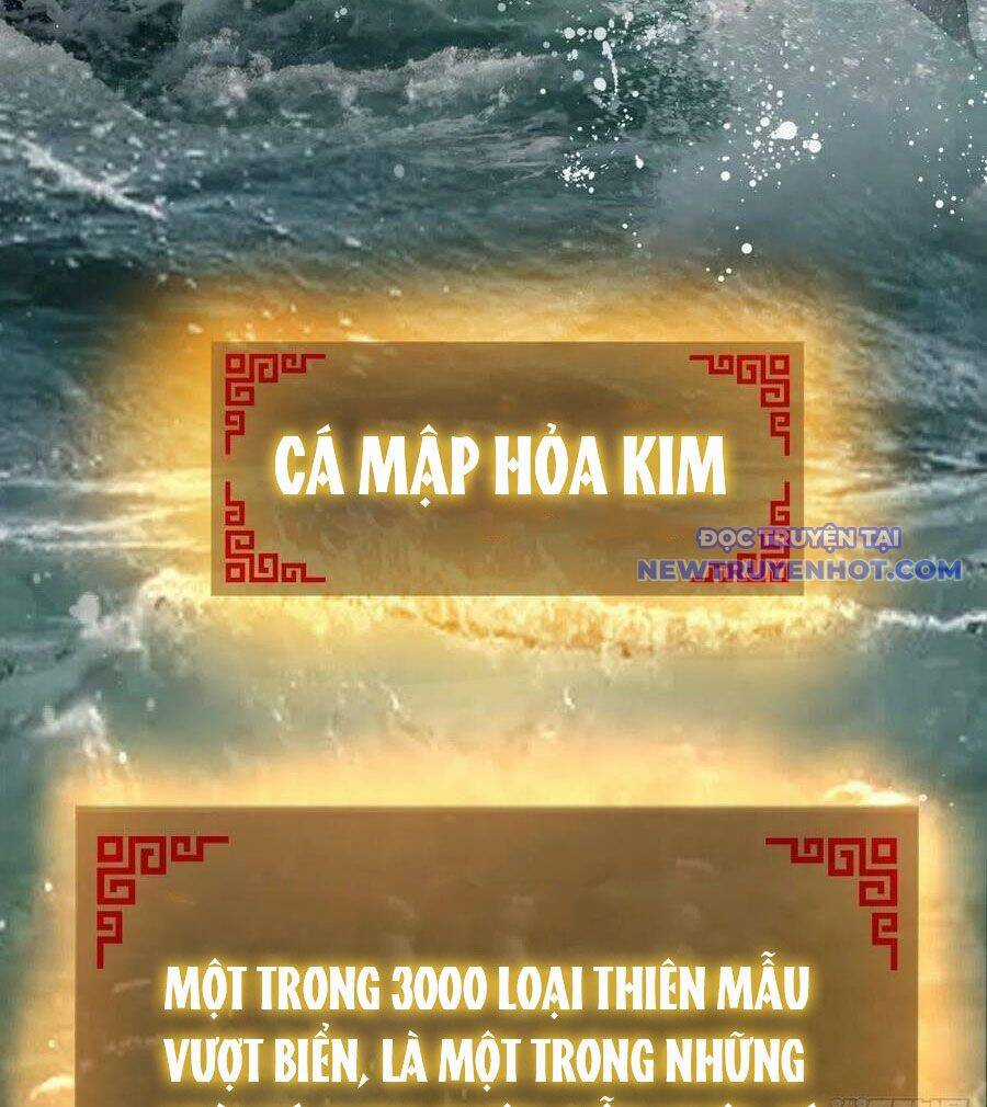 Xuyên Không Thành Chim Chapter 166 trang 35