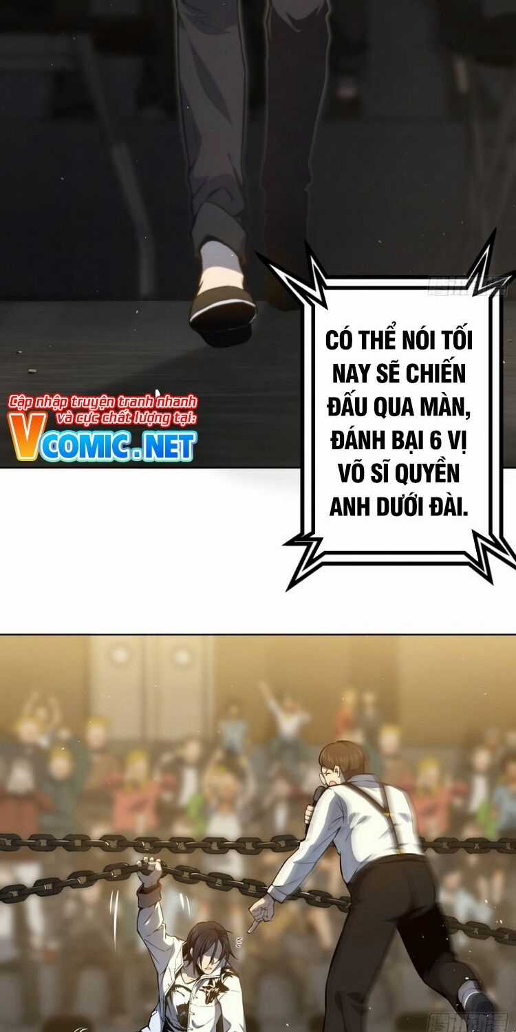 Xuyên Không Thành Chim Chapter 2 trang 31
