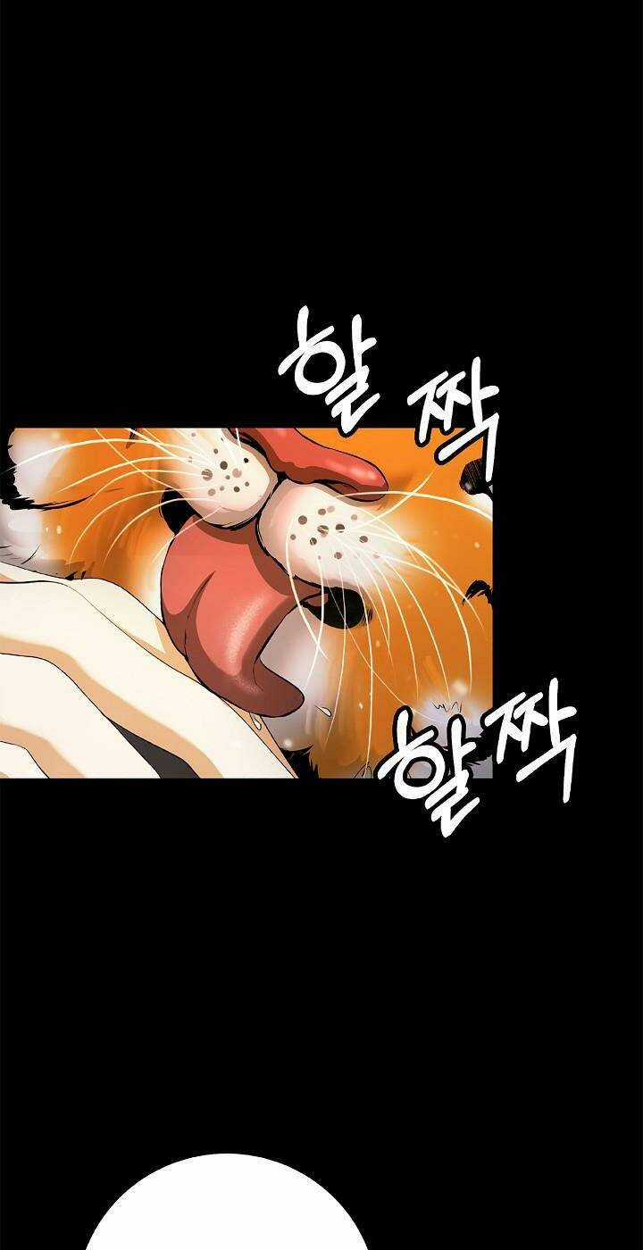 xuyên không thành hổ Chapter 123 trang 42