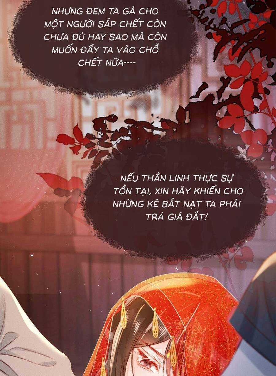 Xuyên Không Về Gả Cho Vương Gia Ốm Yếu Chapter 1 trang 25