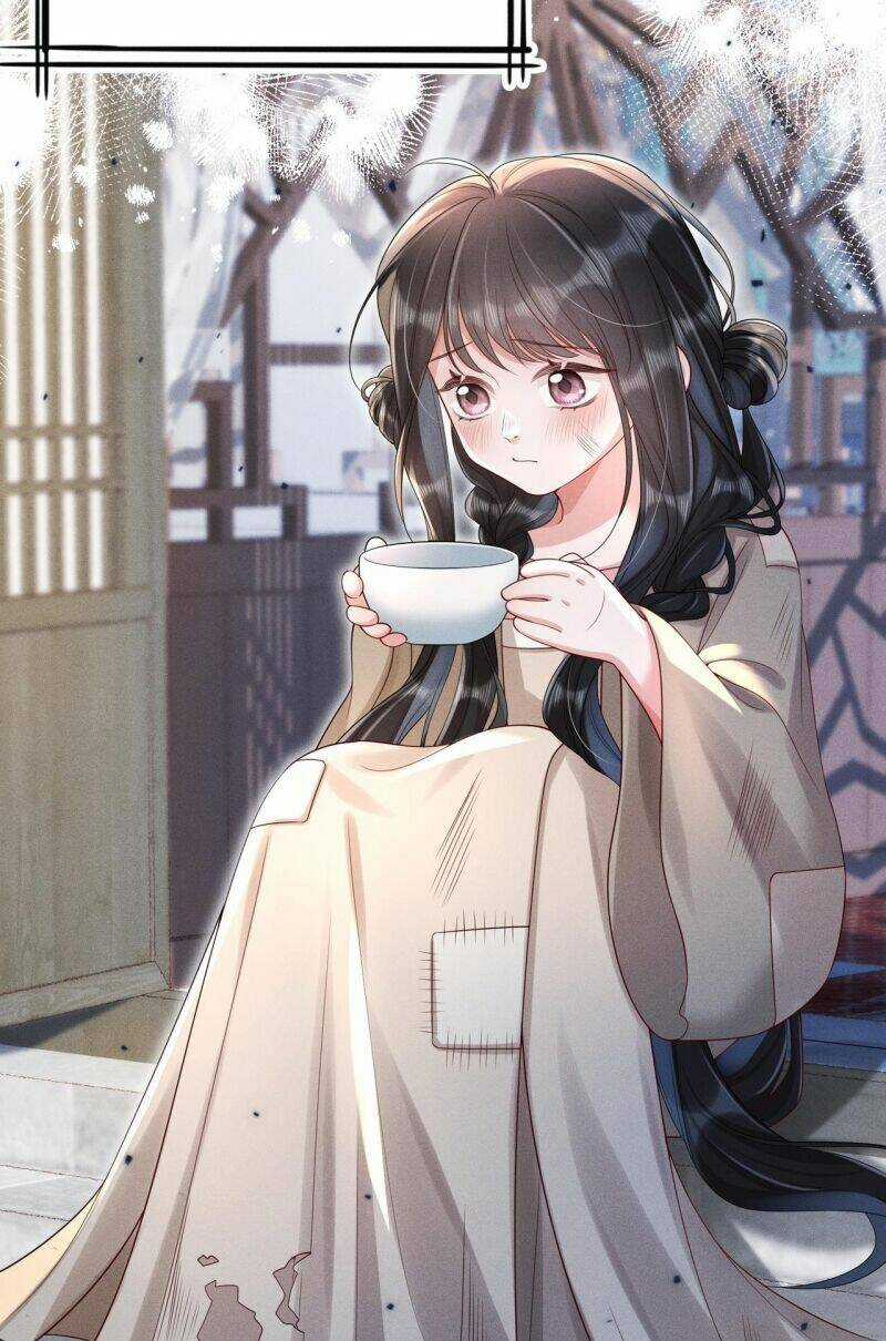 Xuyên Không Về Gả Cho Vương Gia Ốm Yếu Chapter 19 trang 17