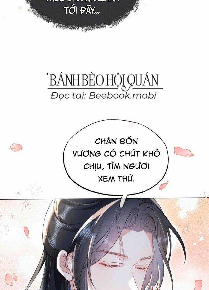 Xuyên Không Về Gả Cho Vương Gia Ốm Yếu Chapter 20 trang 14