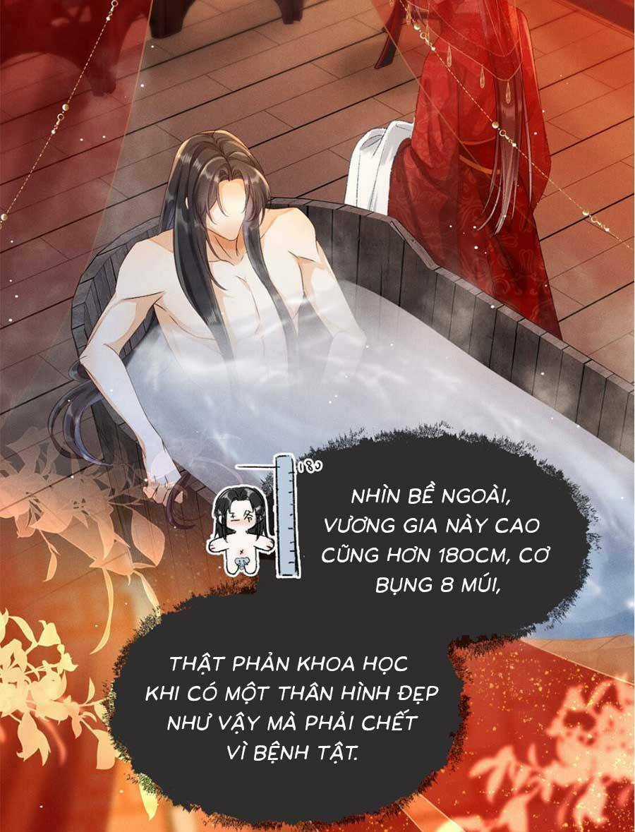 Xuyên Không Về Gả Cho Vương Gia Ốm Yếu Chapter 3 trang 18