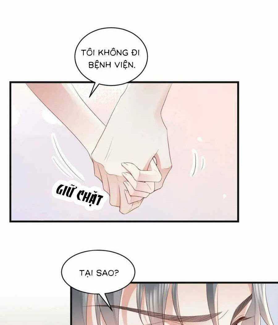 Xuyên Nhanh: Bệnh Kiều Đại Lão Cứ Dính Người Chapter 11 trang 41