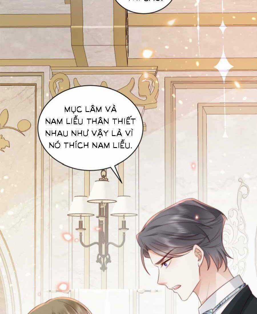 Xuyên Nhanh: Bệnh Kiều Đại Lão Cứ Dính Người Chapter 13 trang 32