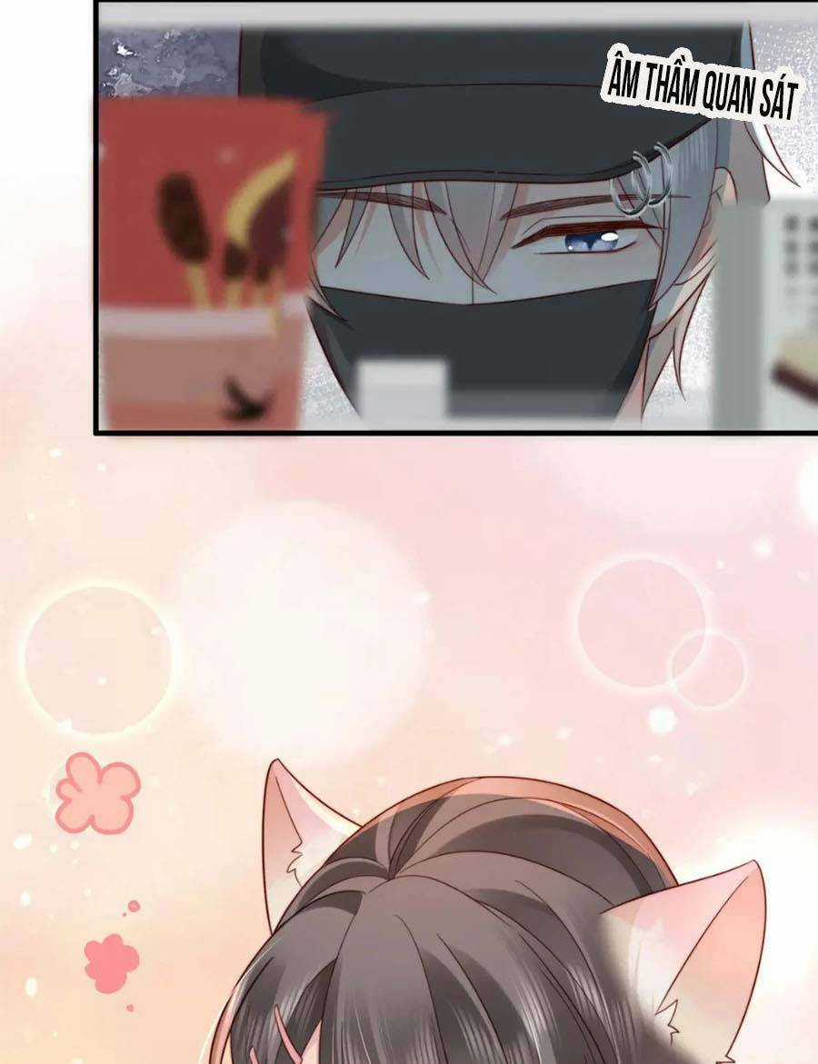 Xuyên Nhanh: Bệnh Kiều Đại Lão Cứ Dính Người Chapter 20 trang 15