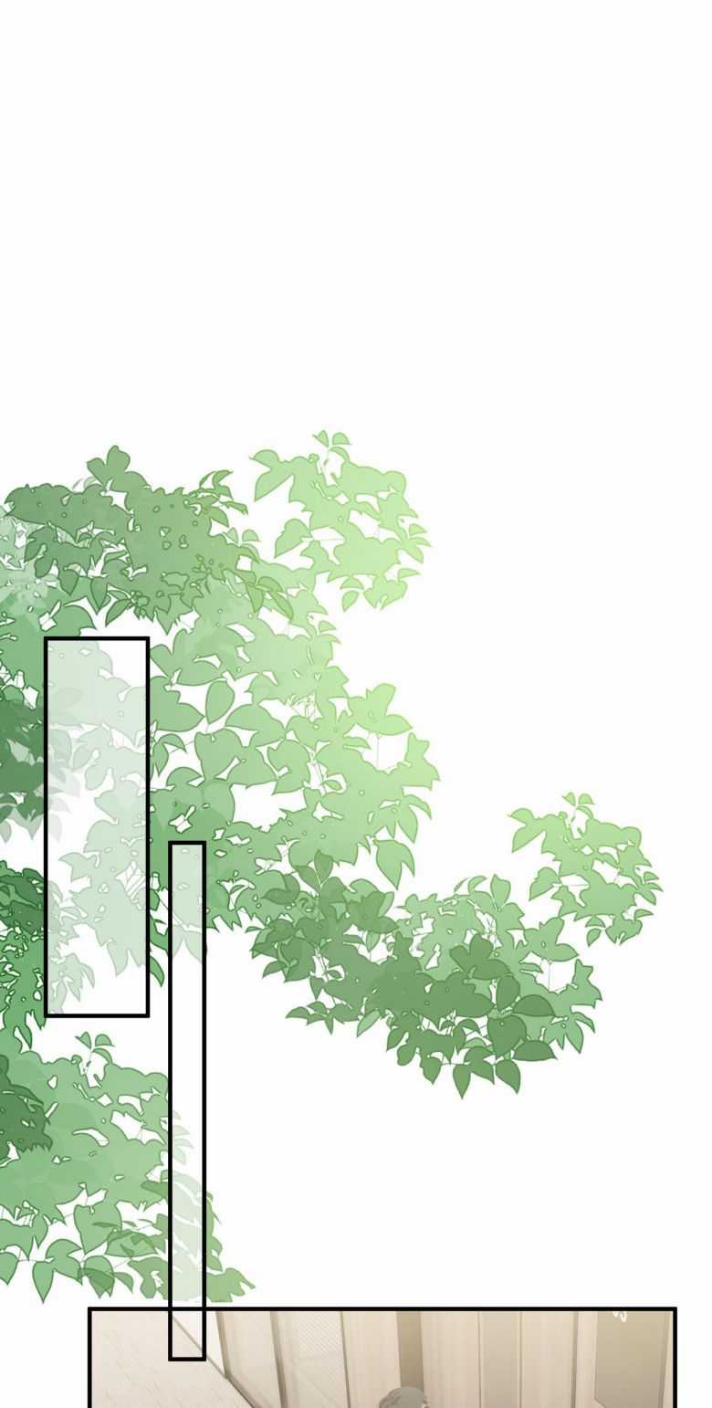 Xuyên Nhanh Chi Cải Tạo Bắt Đầu Lại Làm Người Chapter 35 trang 4