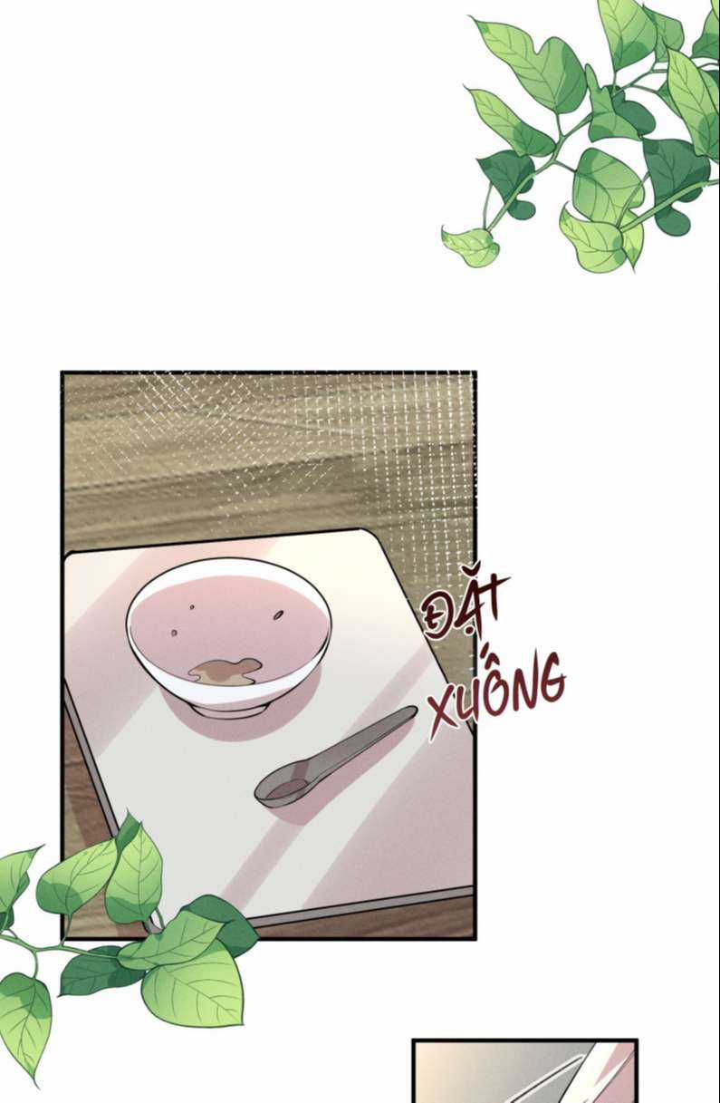 Xuyên Nhanh Chi Cải Tạo Bắt Đầu Lại Làm Người Chapter 56 trang 24