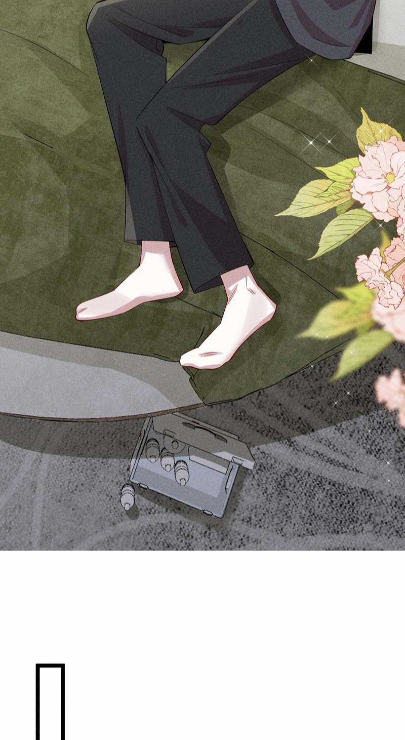 Xuyên Nhanh Chi Cải Tạo Bắt Đầu Lại Làm Người Chapter 62 trang 18