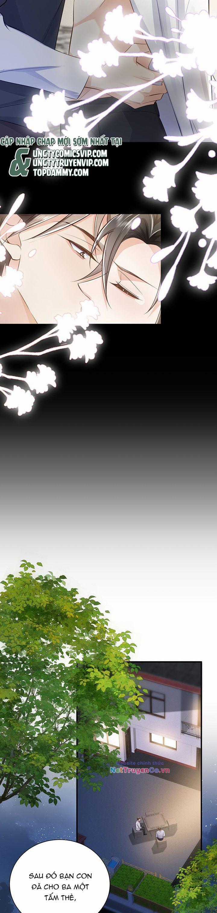 Xuyên Nhanh Chi Cải Tạo Bắt Đầu Lại Làm Người Chapter 72 trang 7