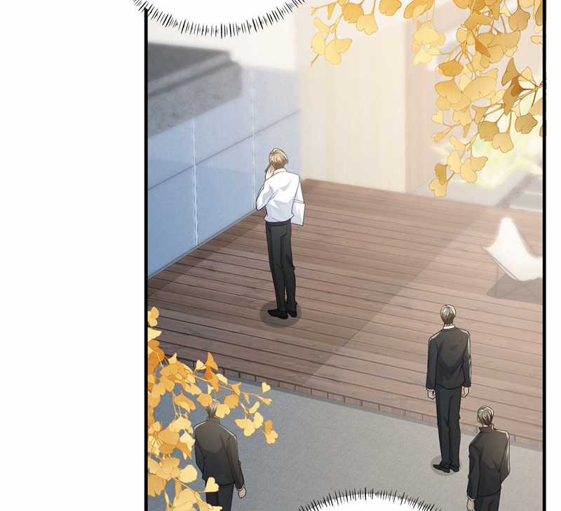 Xuyên Nhanh Chi Cải Tạo Bắt Đầu Lại Làm Người Chapter 77 trang 13