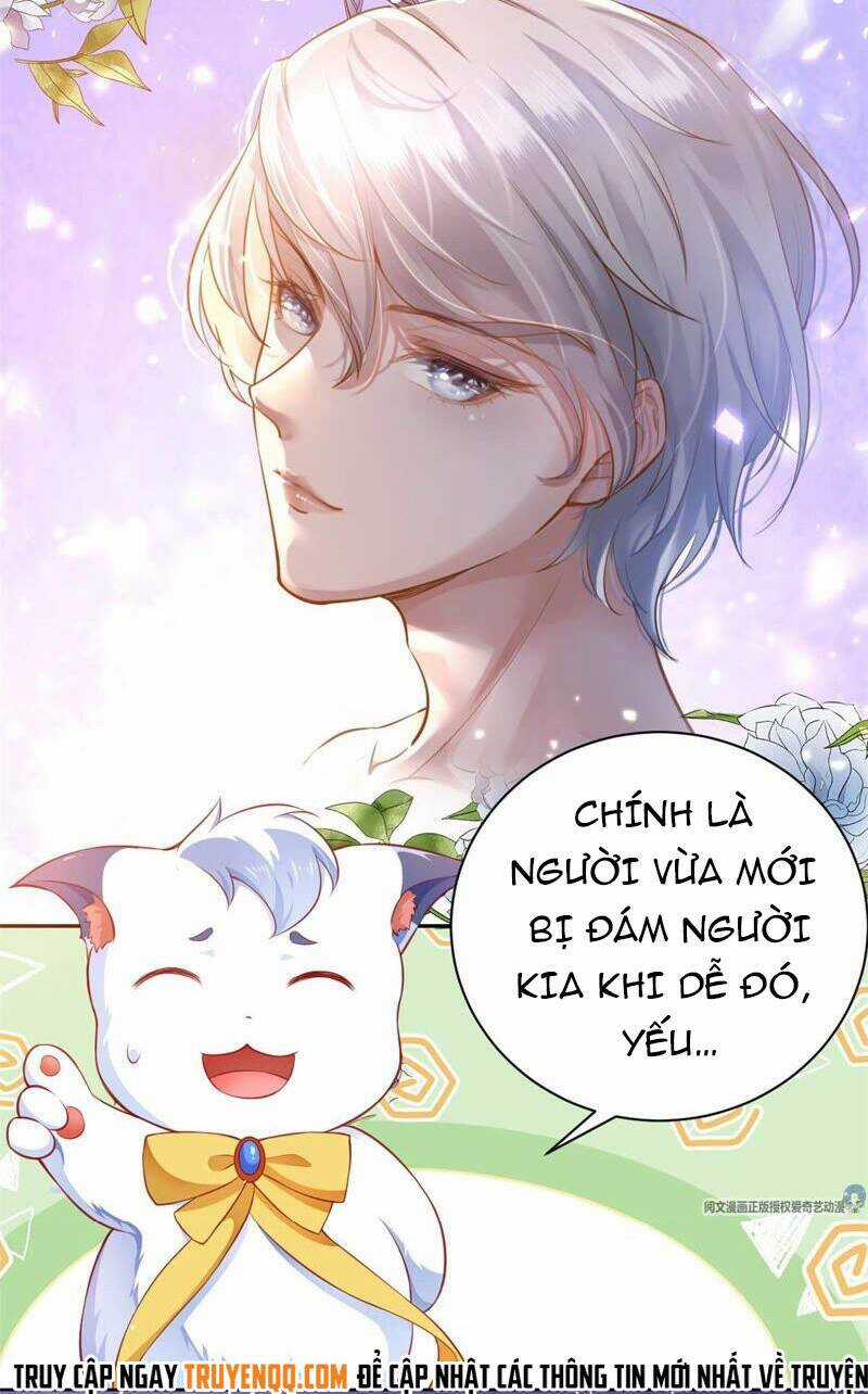 Xuyên Nhanh Đại Lão Ta Chỉ Muốn Phá Sản Chapter 0 trang 24