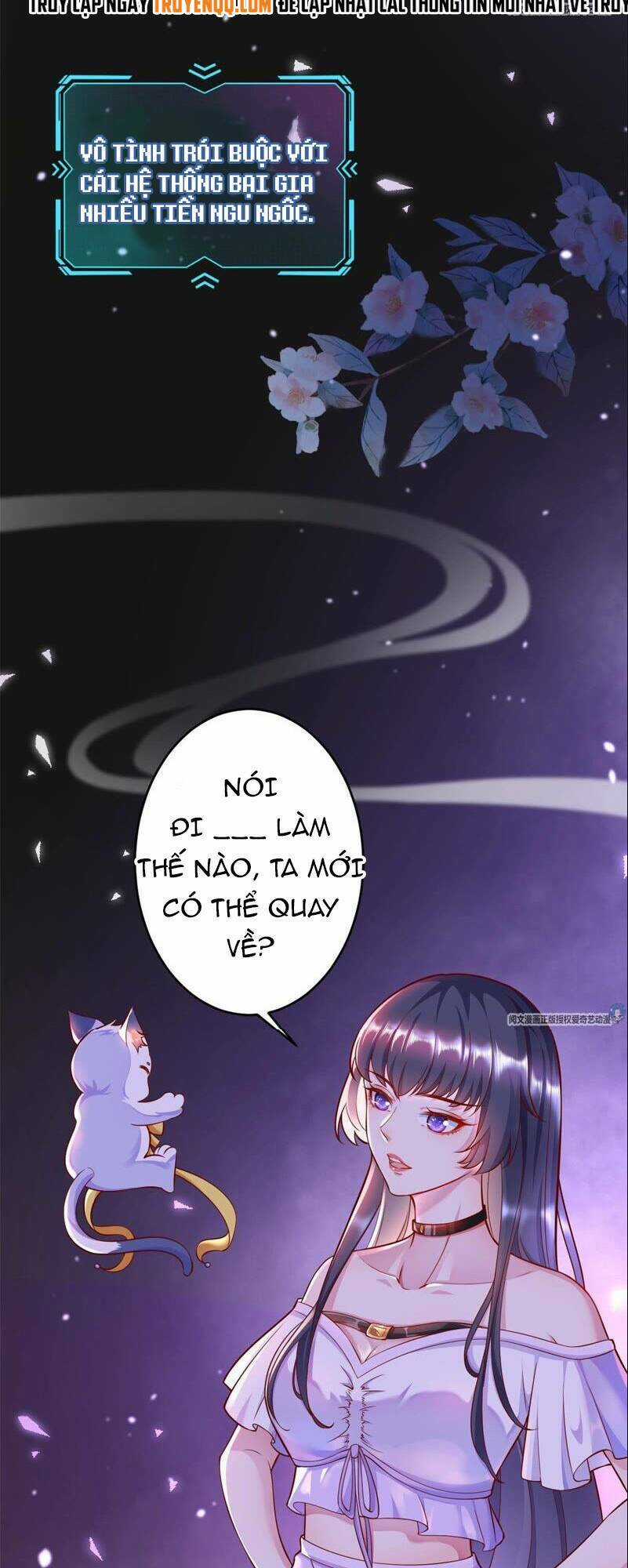 Xuyên Nhanh Đại Lão Ta Chỉ Muốn Phá Sản Chapter 0 trang 4