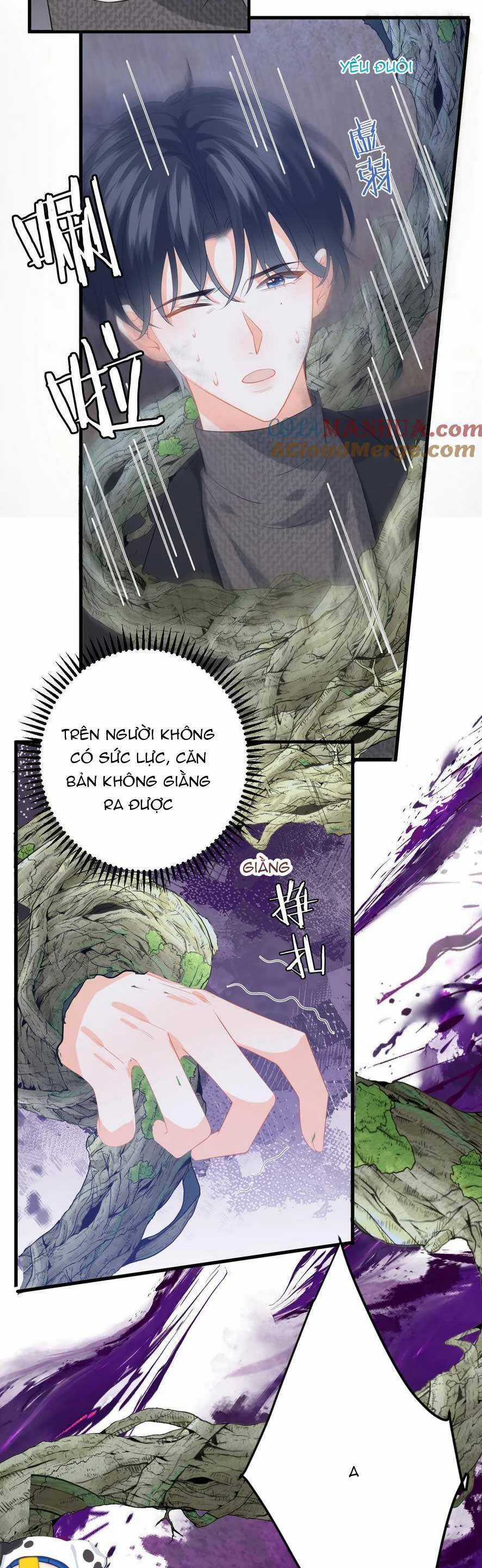 Xuyên Nhanh : Nhân Vật Phản Diện Quá Nuông Chiều Ta Chapter 174 trang 20