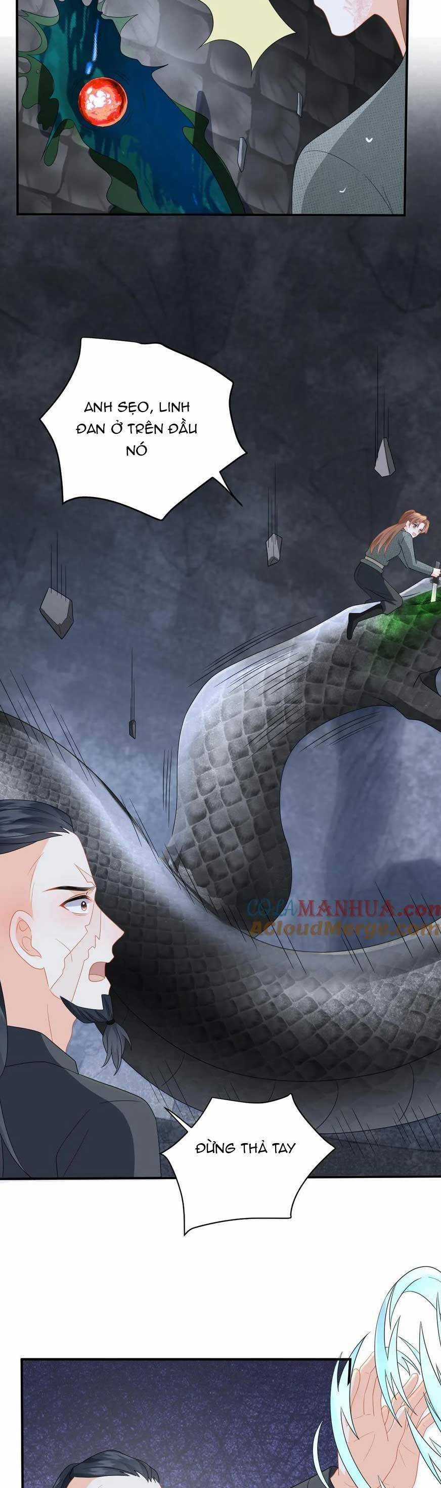 Xuyên Nhanh : Nhân Vật Phản Diện Quá Nuông Chiều Ta Chapter 181 trang 13