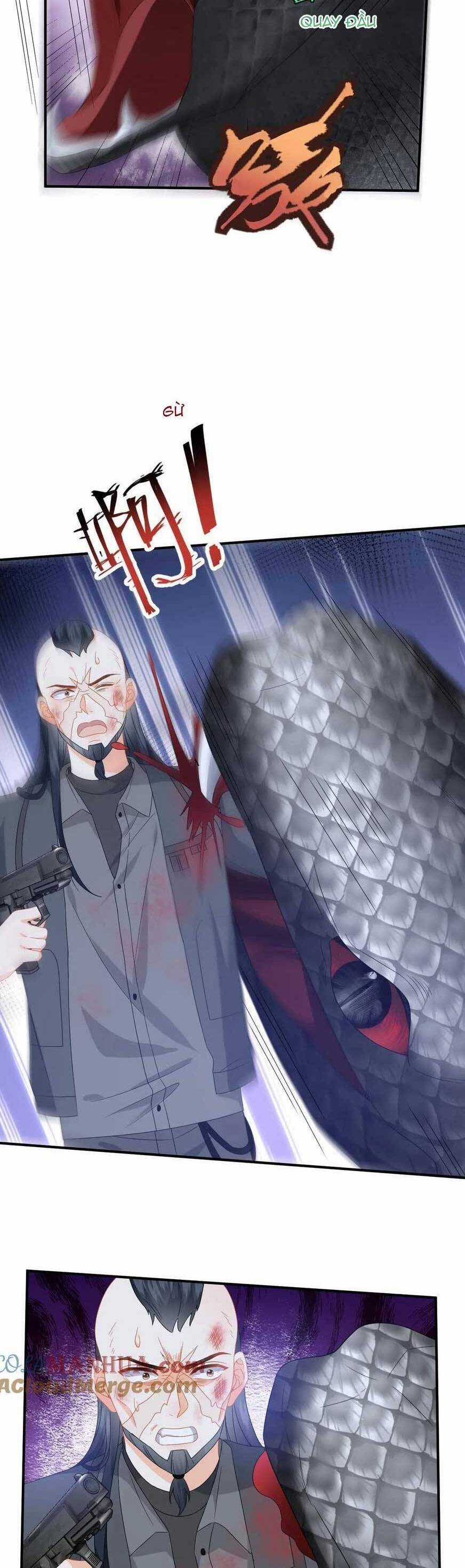 Xuyên Nhanh : Nhân Vật Phản Diện Quá Nuông Chiều Ta Chapter 181 trang 16