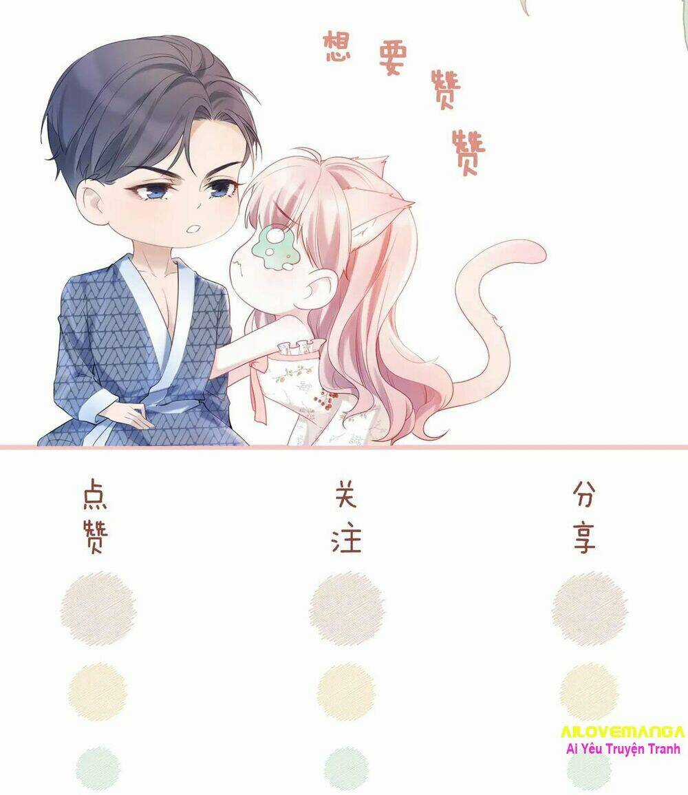 Xuyên Nhanh Nữ Phụ Bình Tĩnh Chút Chapter 11 trang 57