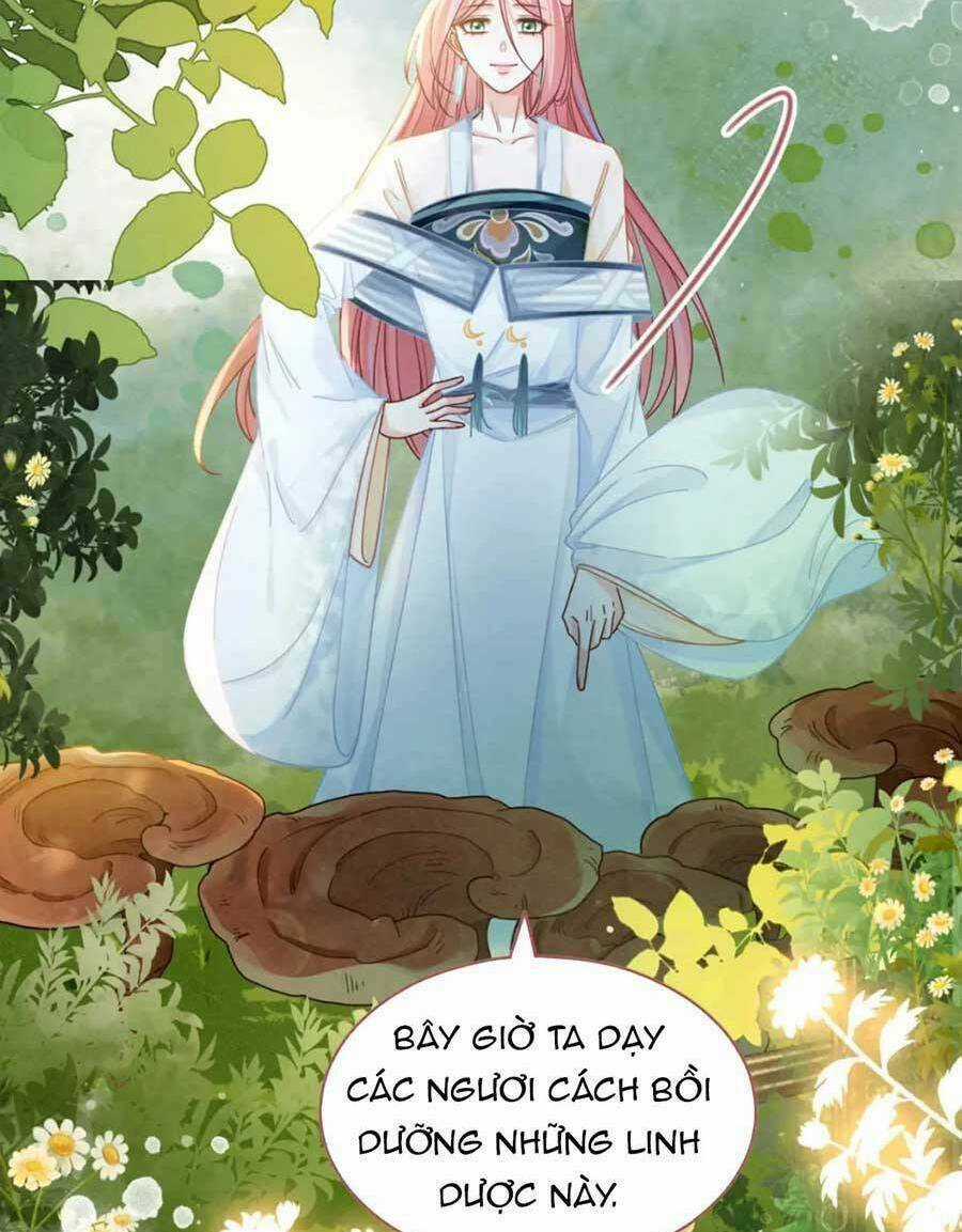 Xuyên Nhanh Nữ Phụ Bình Tĩnh Chút Chapter 138 trang 3