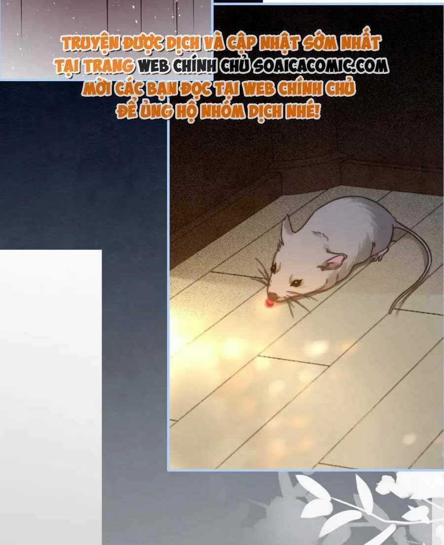 Xuyên Nhanh Nữ Phụ Bình Tĩnh Chút Chapter 143 trang 61