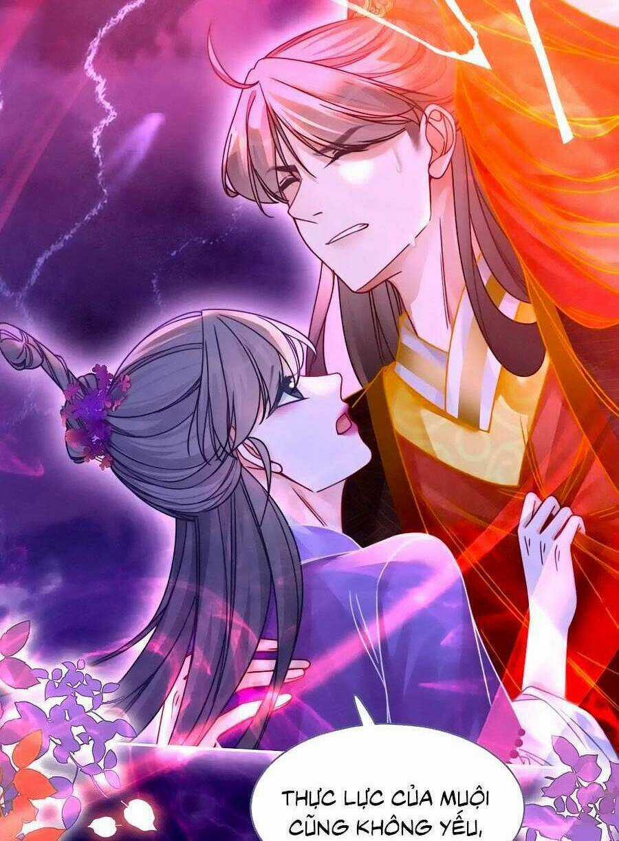 Xuyên Nhanh Nữ Phụ Bình Tĩnh Chút Chapter 147 trang 30