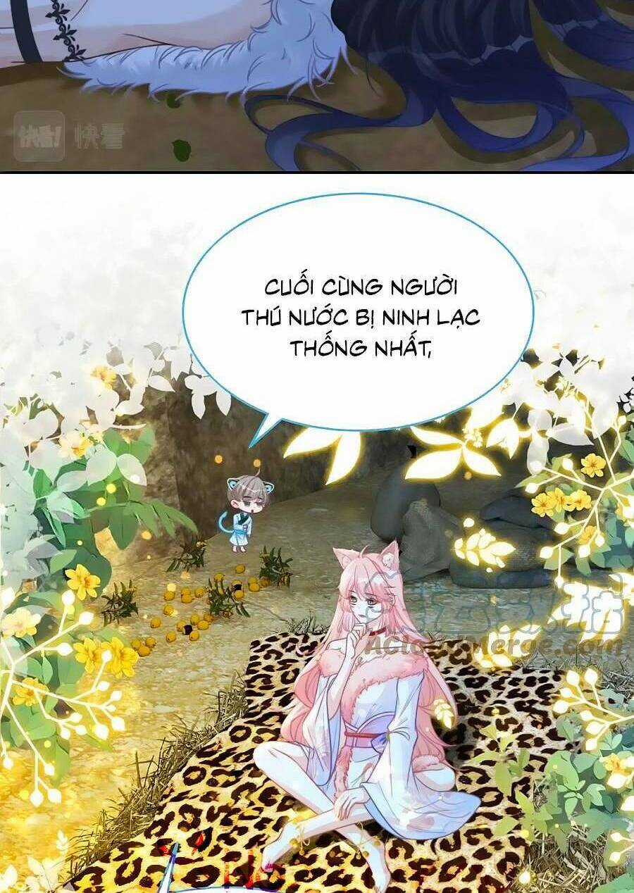 Xuyên Nhanh Nữ Phụ Bình Tĩnh Chút Chapter 150 trang 56